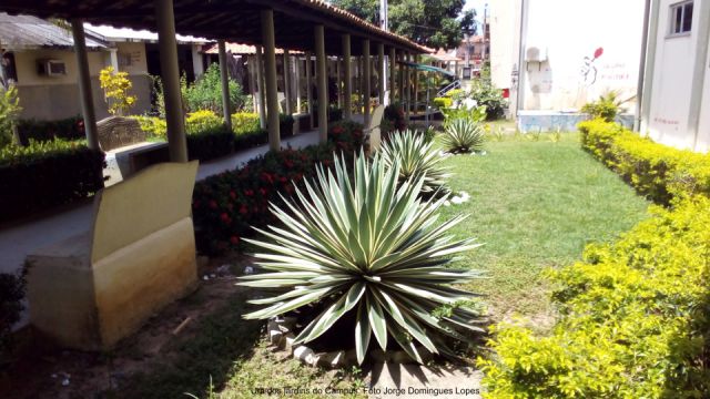 Campus de Cametá hoje