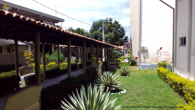 Campus de Cametá hoje