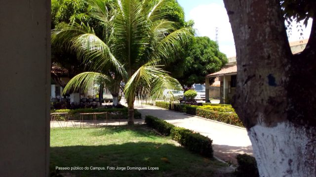 Campus de Cametá hoje