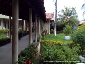 Campus de Cametá hoje