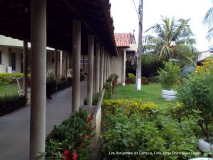 Campus de Cametá hoje