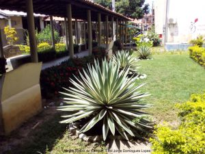 Campus de Cametá hoje